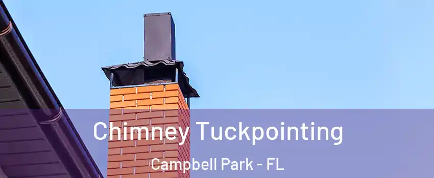 Chimney Tuckpointing Campbell Park - FL