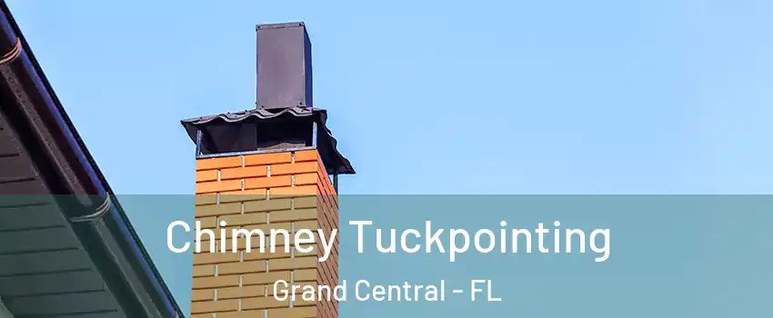 Chimney Tuckpointing Grand Central - FL
