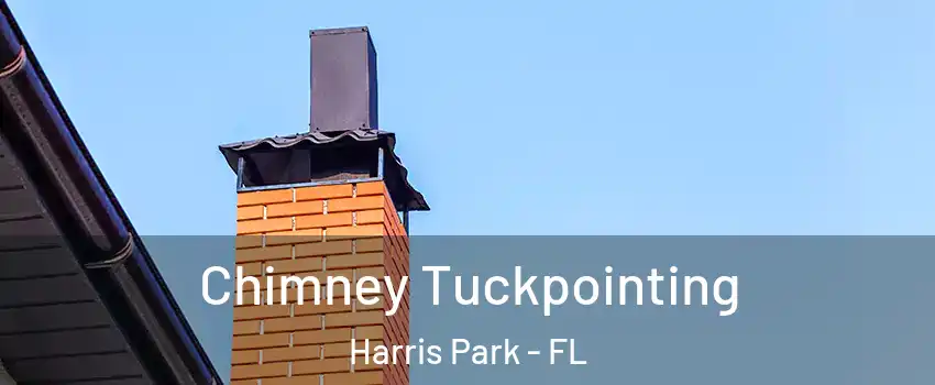 Chimney Tuckpointing Harris Park - FL