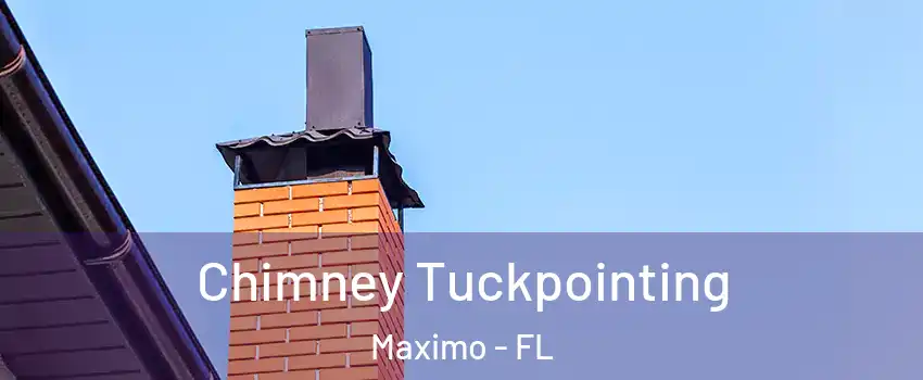 Chimney Tuckpointing Maximo - FL