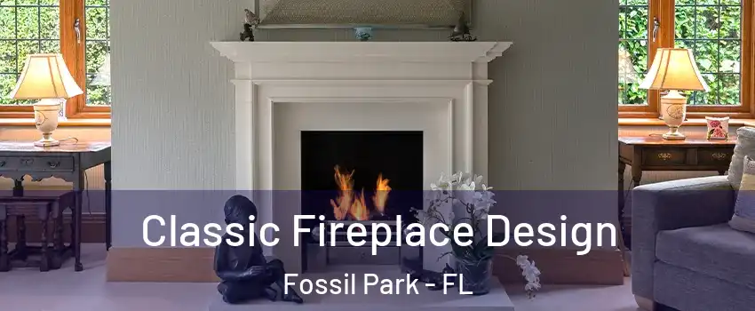 Classic Fireplace Design Fossil Park - FL