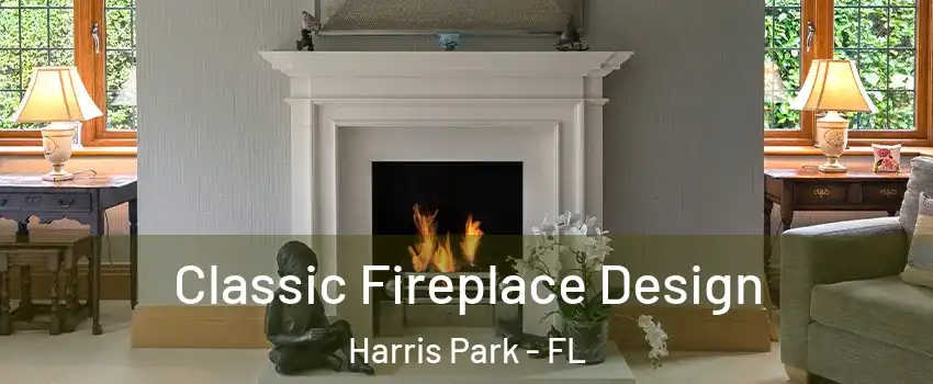 Classic Fireplace Design Harris Park - FL
