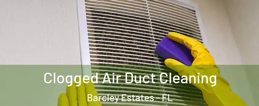 Clogged Air Duct Cleaning Barcley Estates - FL