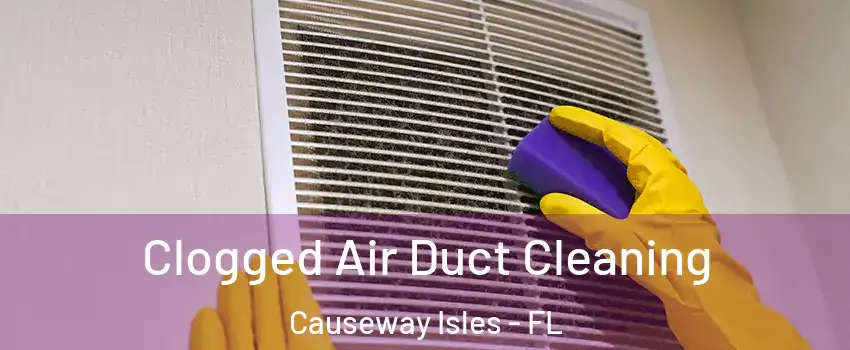 Clogged Air Duct Cleaning Causeway Isles - FL