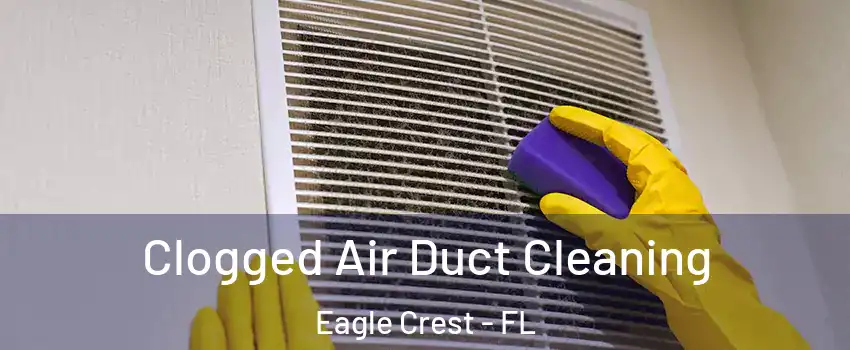 Clogged Air Duct Cleaning Eagle Crest - FL