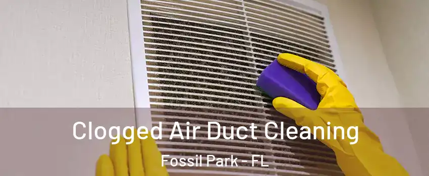 Clogged Air Duct Cleaning Fossil Park - FL