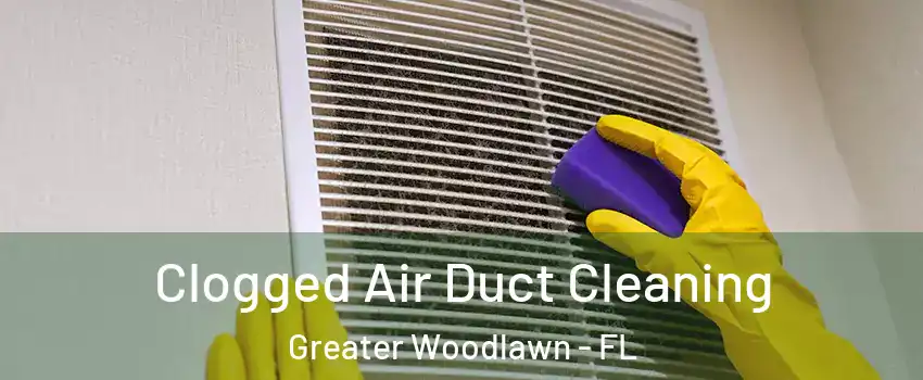 Clogged Air Duct Cleaning Greater Woodlawn - FL