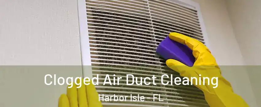 Clogged Air Duct Cleaning Harbor Isle - FL