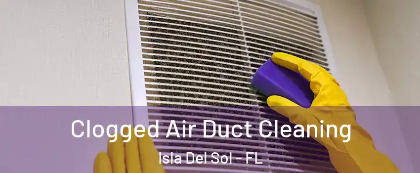 Clogged Air Duct Cleaning Isla Del Sol - FL