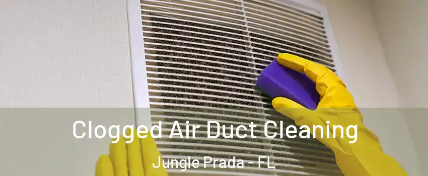 Clogged Air Duct Cleaning Jungle Prada - FL