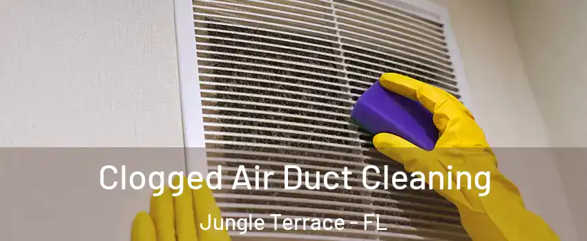 Clogged Air Duct Cleaning Jungle Terrace - FL