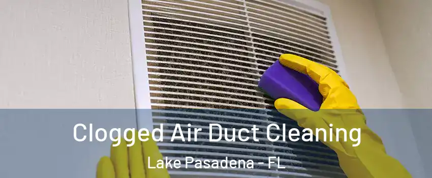 Clogged Air Duct Cleaning Lake Pasadena - FL