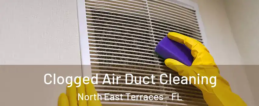 Clogged Air Duct Cleaning North East Terraces - FL