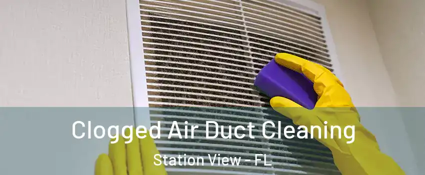 Clogged Air Duct Cleaning Station View - FL