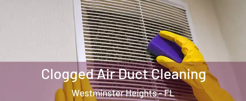 Clogged Air Duct Cleaning Westminster Heights - FL