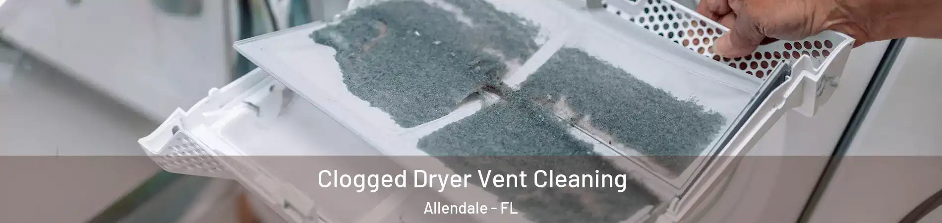Clogged Dryer Vent Cleaning Allendale - FL
