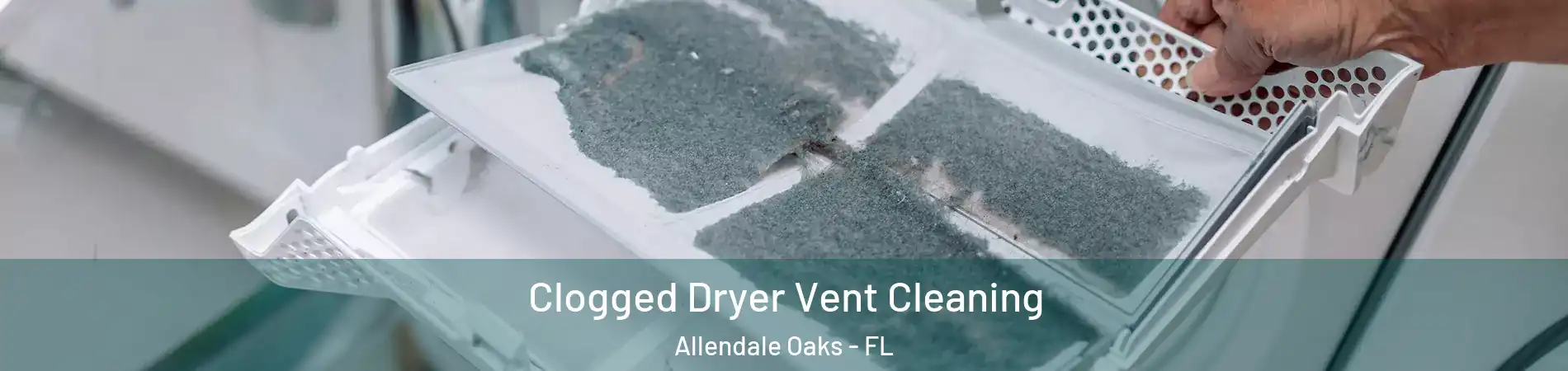 Clogged Dryer Vent Cleaning Allendale Oaks - FL