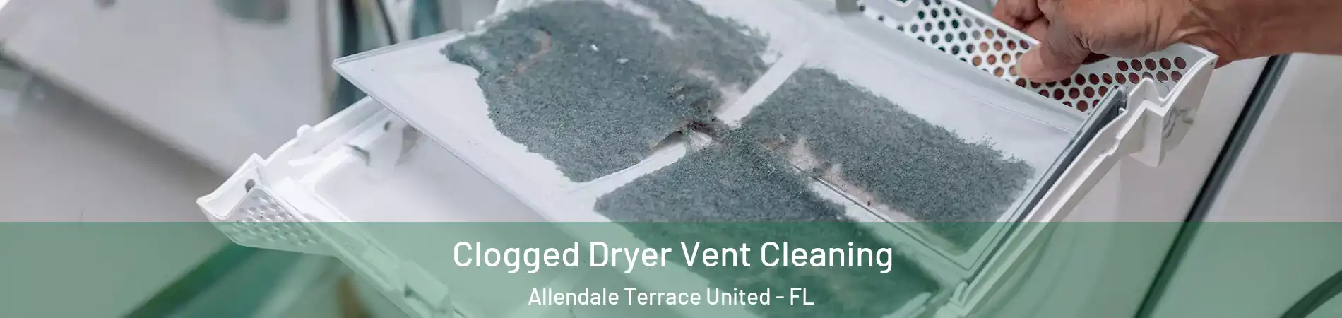 Clogged Dryer Vent Cleaning Allendale Terrace United - FL