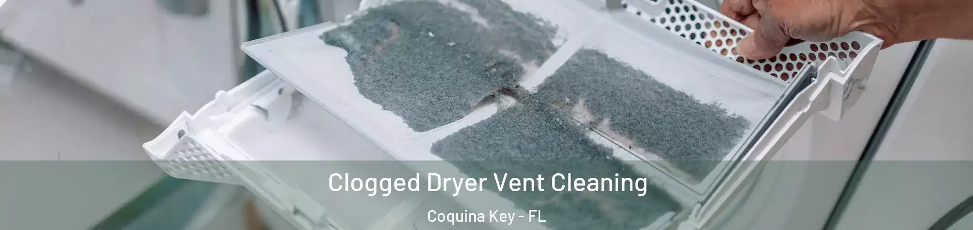 Clogged Dryer Vent Cleaning Coquina Key - FL