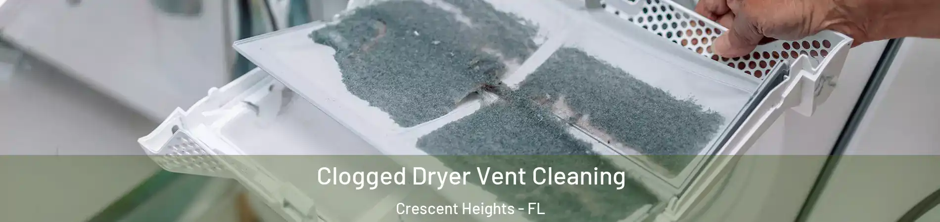 Clogged Dryer Vent Cleaning Crescent Heights - FL