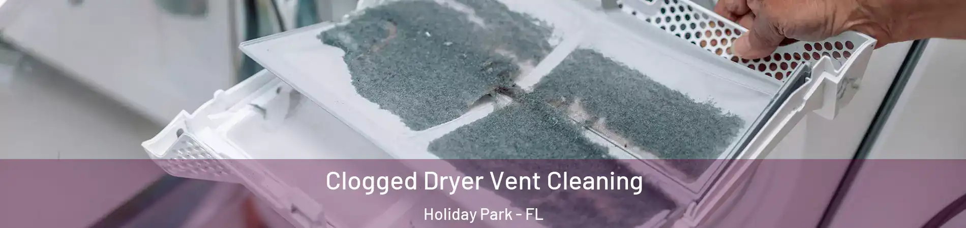 Clogged Dryer Vent Cleaning Holiday Park - FL
