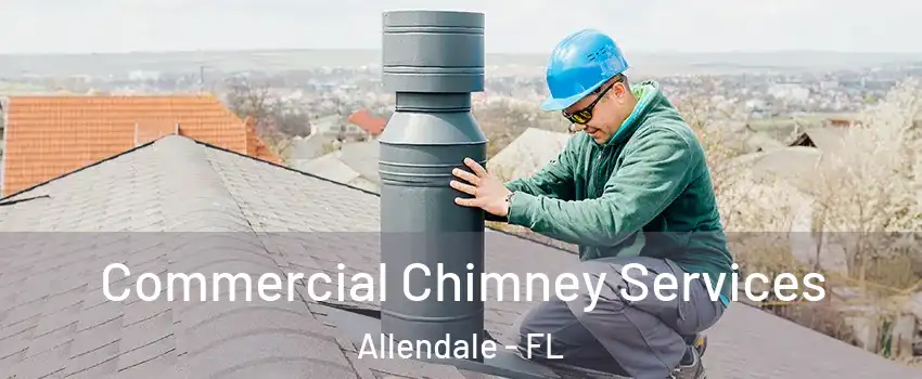 Commercial Chimney Services Allendale - FL