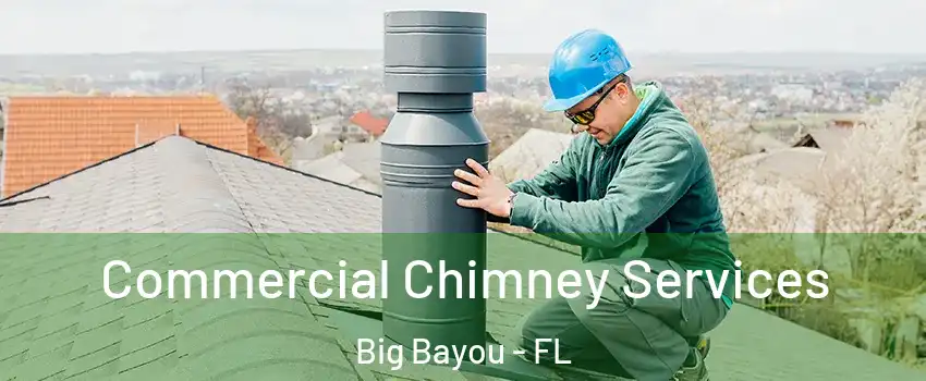Commercial Chimney Services Big Bayou - FL