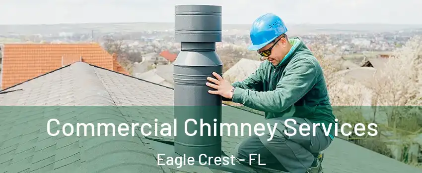 Commercial Chimney Services Eagle Crest - FL