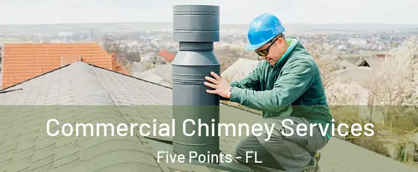 Commercial Chimney Services Five Points - FL