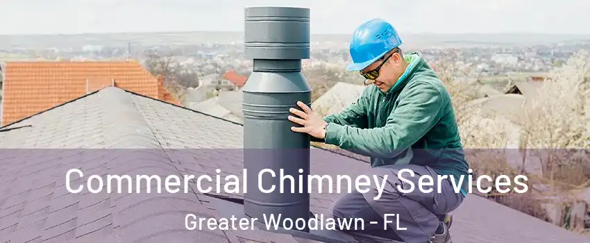 Commercial Chimney Services Greater Woodlawn - FL