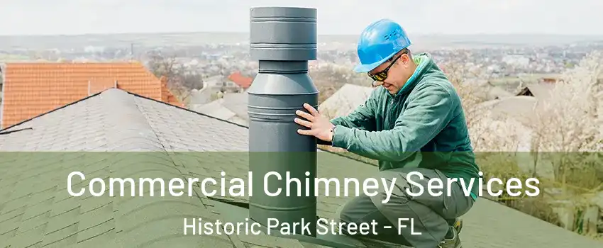 Commercial Chimney Services Historic Park Street - FL