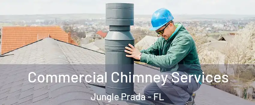 Commercial Chimney Services Jungle Prada - FL