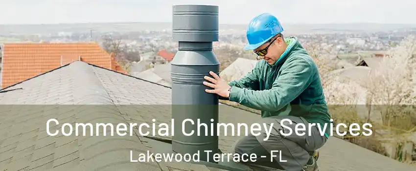 Commercial Chimney Services Lakewood Terrace - FL