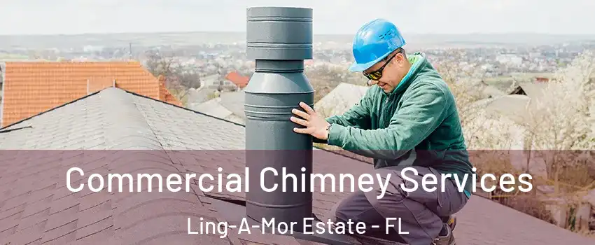 Commercial Chimney Services Ling-A-Mor Estate - FL