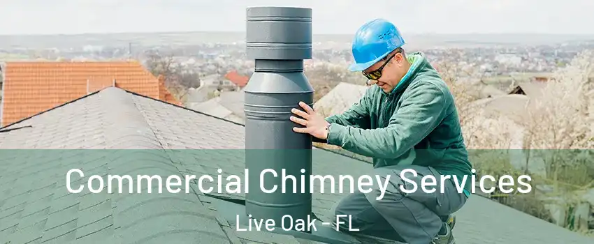 Commercial Chimney Services Live Oak - FL