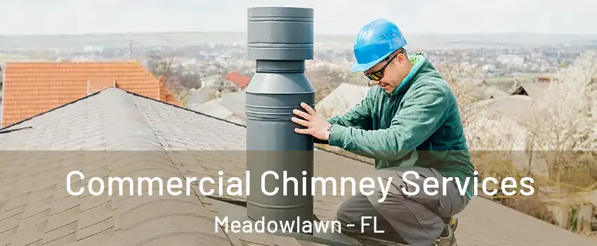 Commercial Chimney Services Meadowlawn - FL