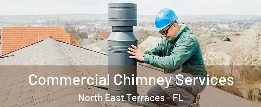 Commercial Chimney Services North East Terraces - FL