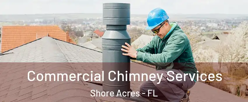 Commercial Chimney Services Shore Acres - FL