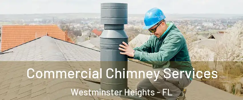 Commercial Chimney Services Westminster Heights - FL