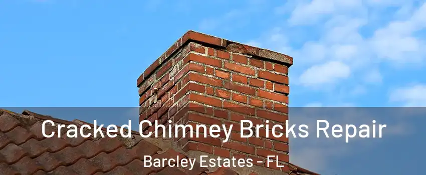 Cracked Chimney Bricks Repair Barcley Estates - FL