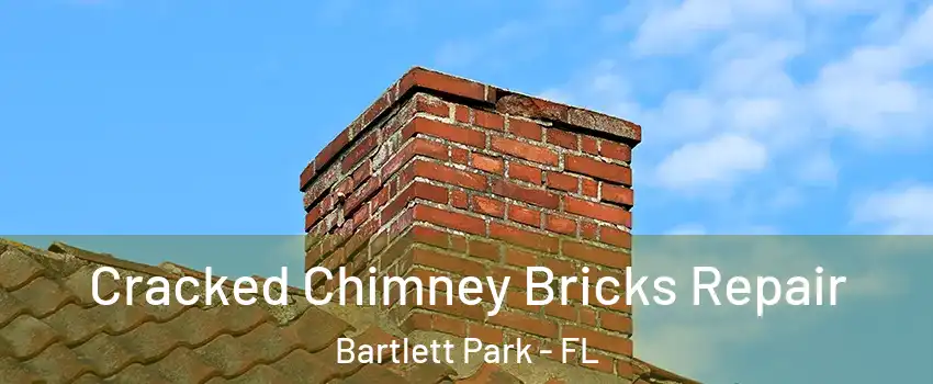 Cracked Chimney Bricks Repair Bartlett Park - FL