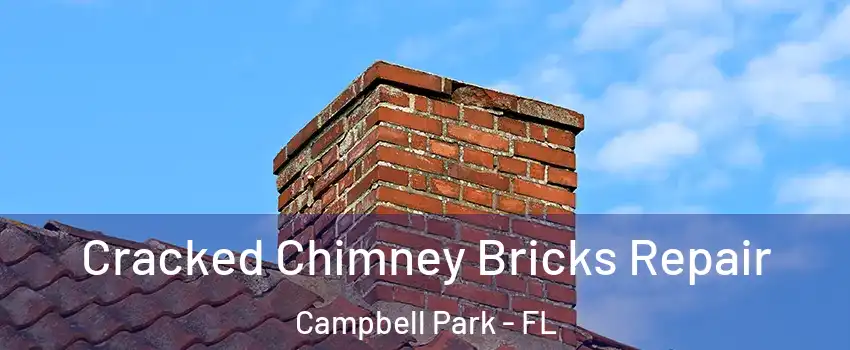 Cracked Chimney Bricks Repair Campbell Park - FL