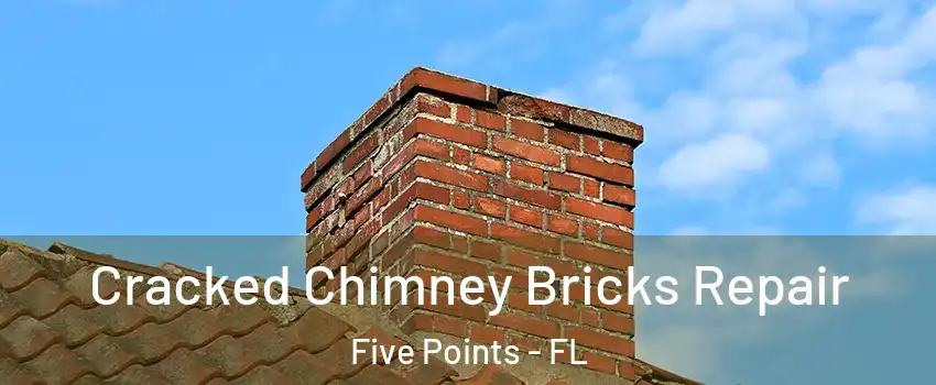 Cracked Chimney Bricks Repair Five Points - FL