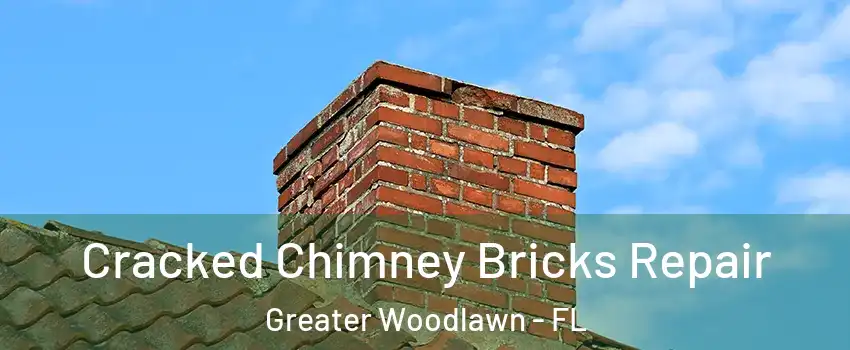 Cracked Chimney Bricks Repair Greater Woodlawn - FL