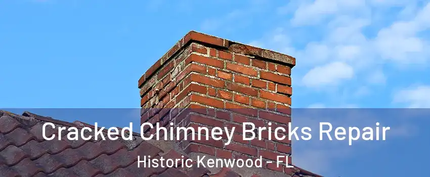 Cracked Chimney Bricks Repair Historic Kenwood - FL