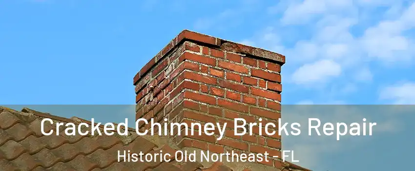 Cracked Chimney Bricks Repair Historic Old Northeast - FL