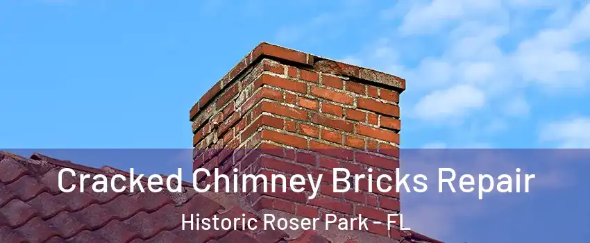 Cracked Chimney Bricks Repair Historic Roser Park - FL
