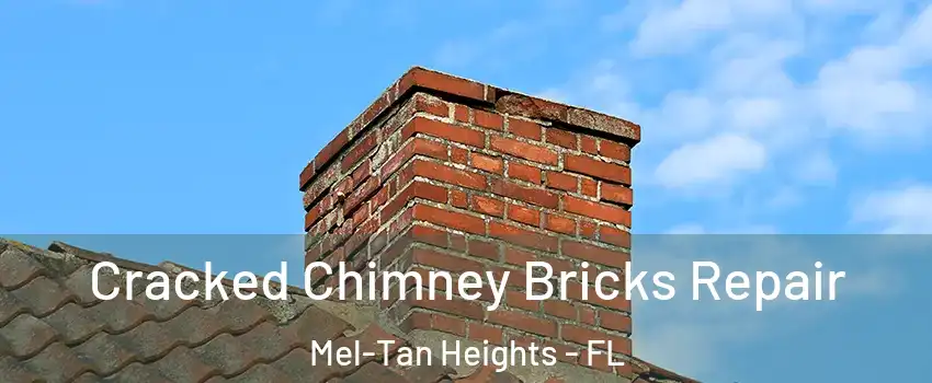 Cracked Chimney Bricks Repair Mel-Tan Heights - FL