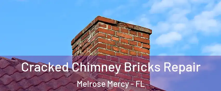 Cracked Chimney Bricks Repair Melrose Mercy - FL