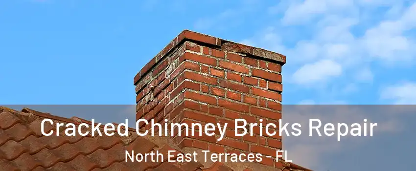 Cracked Chimney Bricks Repair North East Terraces - FL